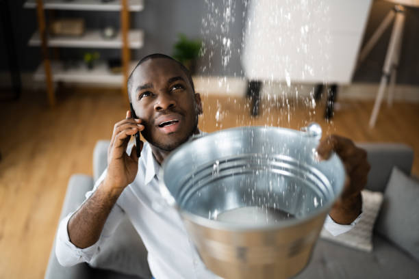 Best Emergency water damage restoration  in Louise, TX