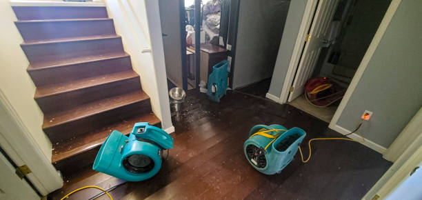 Best Sewage cleanup and water damage restoration  in Louise, TX