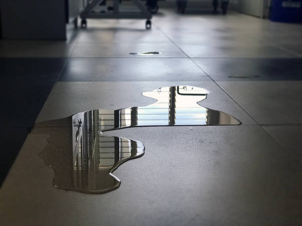Best Carpet water damage restoration  in Louise, TX